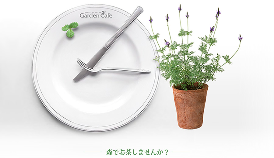 森でお茶しませんか?